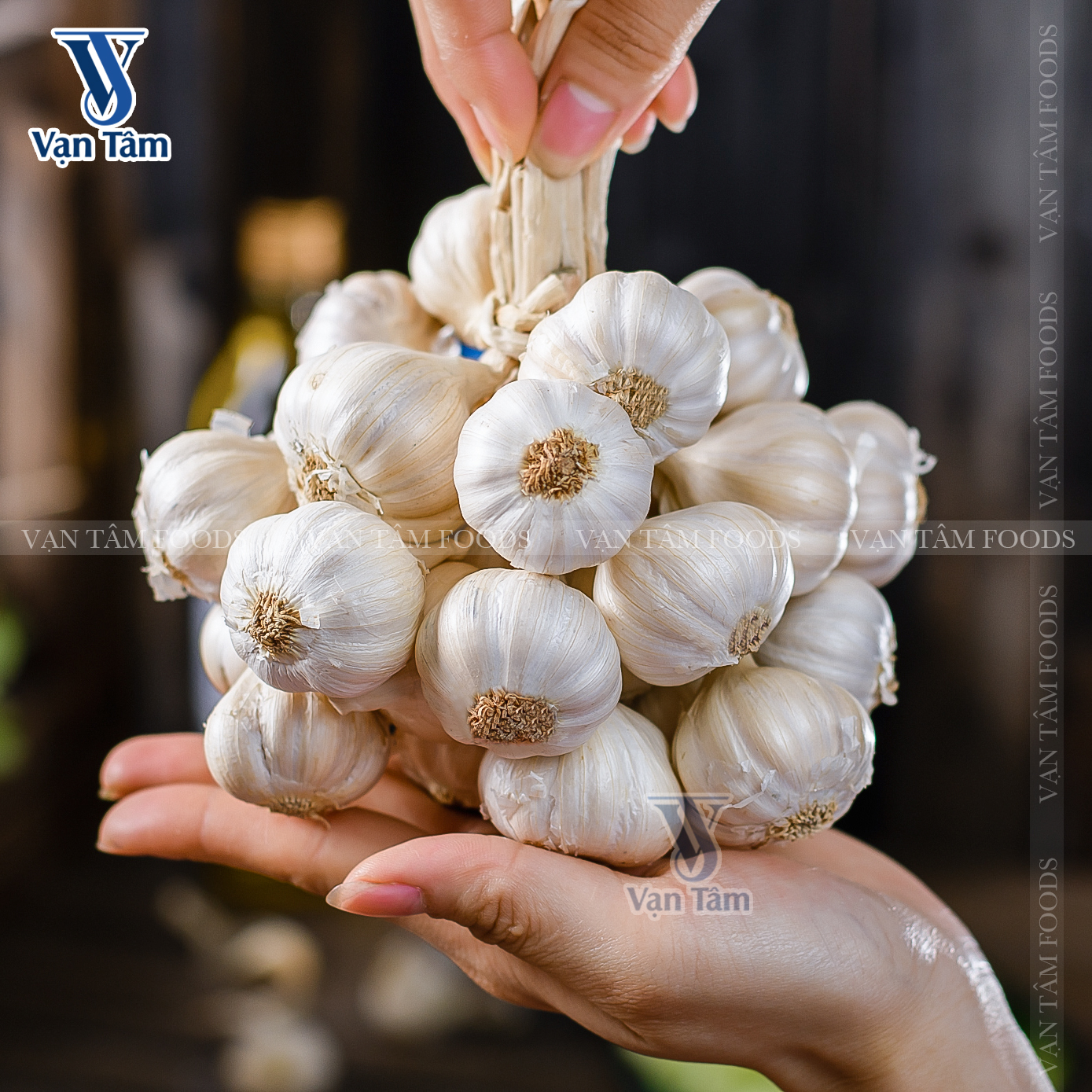 |Chính Hiệu| Tỏi Lý Sơn Garlic, Đặc Sản Quảng Ngãi loại nhiều tép, túi lưới 500gr