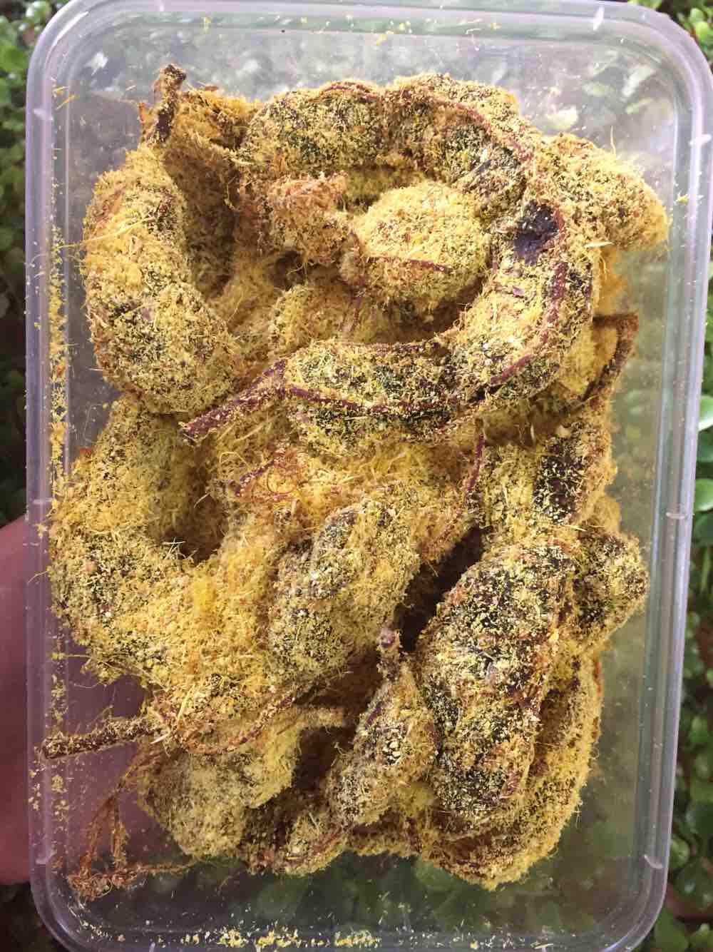 Ô mai me gừng 1kg