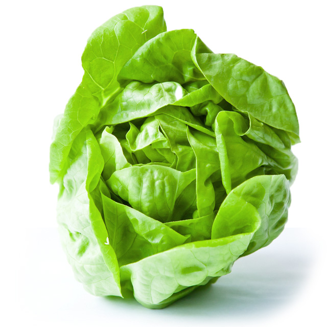 [Gói 5g ] Hạt Giống Xà Lách Đăm, Xà Lách Cuộn Giòn Ngọt Dễ Trồng