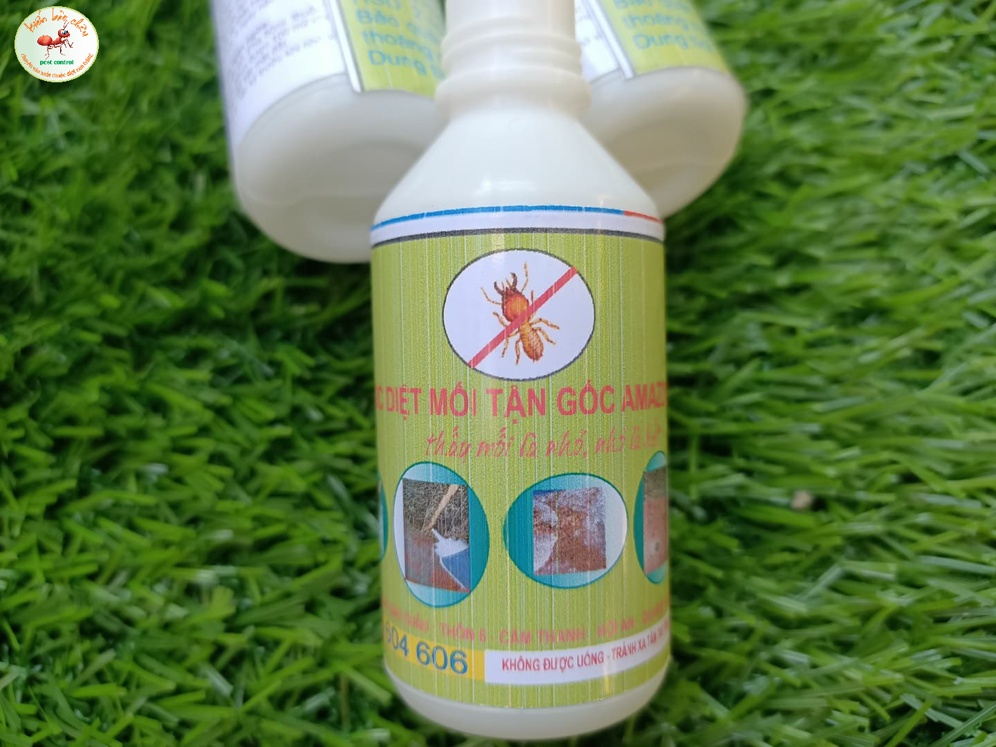 Thuốc diệt mối tận gốc Amazon 50ml
