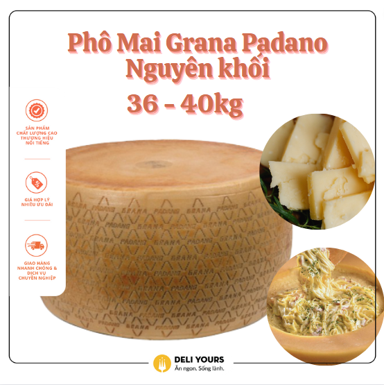 Phô Mai Granda Padano Nguyên Khối khoảng 36-40 Kg (Kg) Boni Nhập khẩu trực tiếp từ Ý