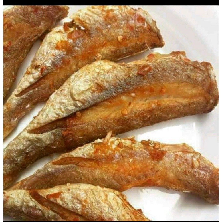 Cá đù 1 năng size lớn
