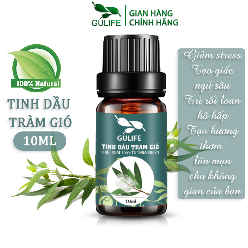 [Nguyên Chất] Tinh Dầu Tràm Gió Gulife 10ml - Chiết Xuất 100% Từ Thiên Nhiên - Cajeput Oil 100% Nature