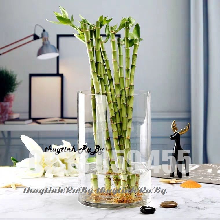 Bình bông lọ hoa thủy tinh trụ Cao 20CM, Bình cắm hoa thủy tinh trụ, lọ hoa, bình bông trang trí đơn giản giá rẻ