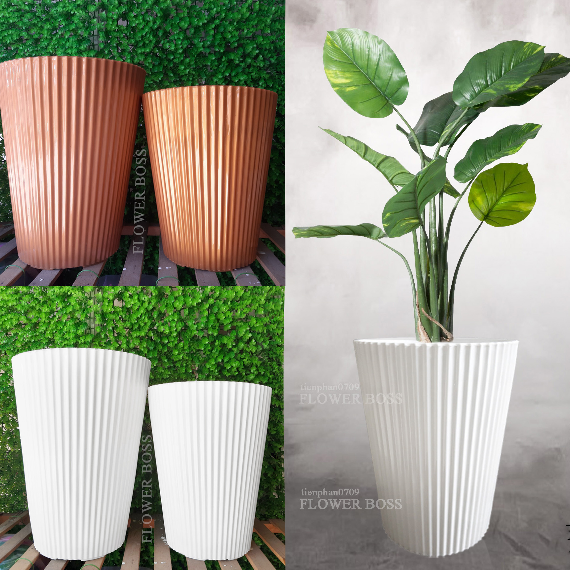 Chậu nhựa cao cấp dáng Doric cỡ lớn và vừa lớn, hàng to, dày, đẹp, bóng men giả sứ - Chậu trồng kiểng, cây cảnh, hoa quả