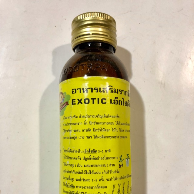Siêu kích rễ exotic thái lan