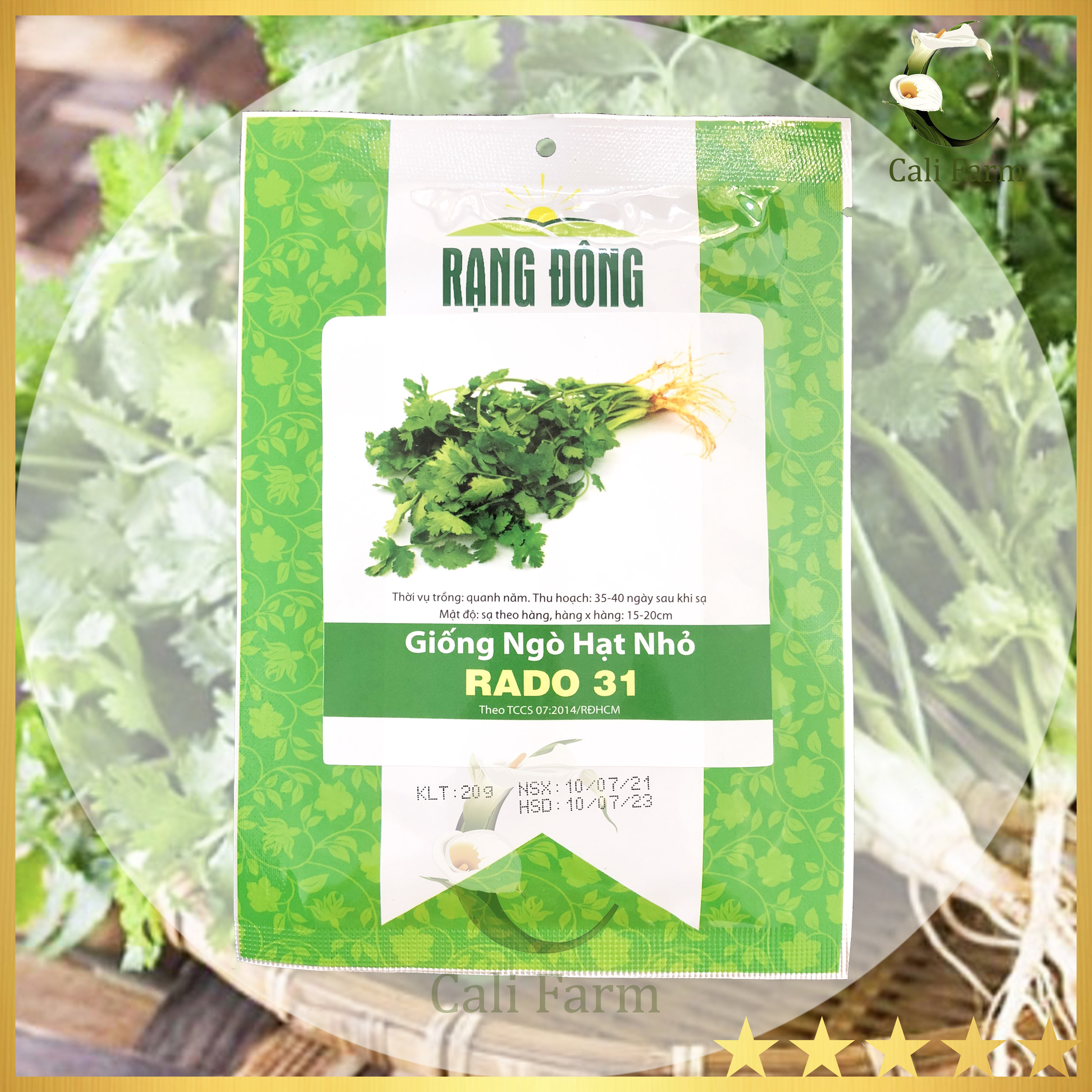 Hạt giống ngò rí rado 31 gói 20gr rau mùi thơm, gia vị mọi nhà
