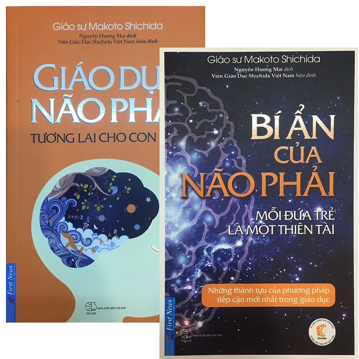 Combo giáo dục não phải + bí ẩn của não phải