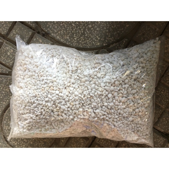 1 túi 250g đá perlite trộn giá thể trồng cây