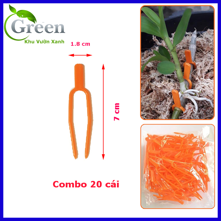 Set 20 Cái Kẹp Ghim Cố Định Định Vị Kei (Kie, Keiki) Phong Lan