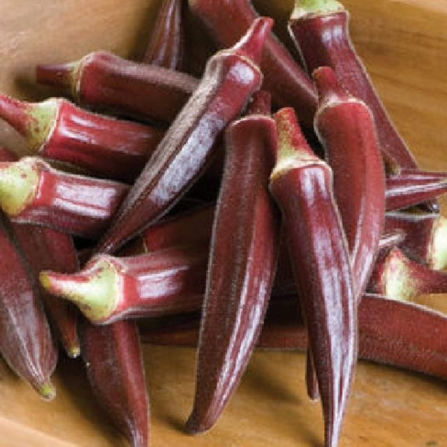 Hũ 10 Hạt Đậu Bắp Đỏ F1 Giống Mỹ Nhiều Dinh Dưỡng