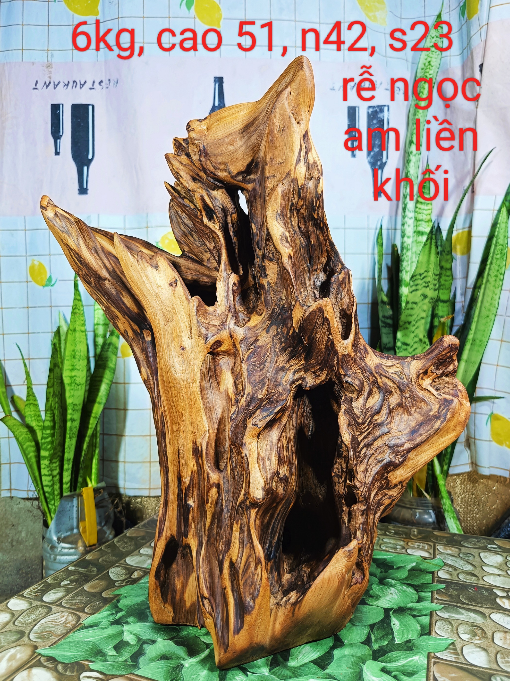 Lũa gỗ thơm ngọc am đỏ hà giang