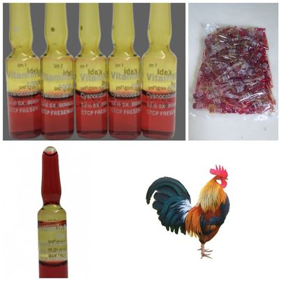 VITAMIN B12 - 1000mcg ( BỊCH 100 ống ) -- bổ máu - hiếu chiến - TĂNG BO ĐÁ--TẢI ĐÒN cho gà