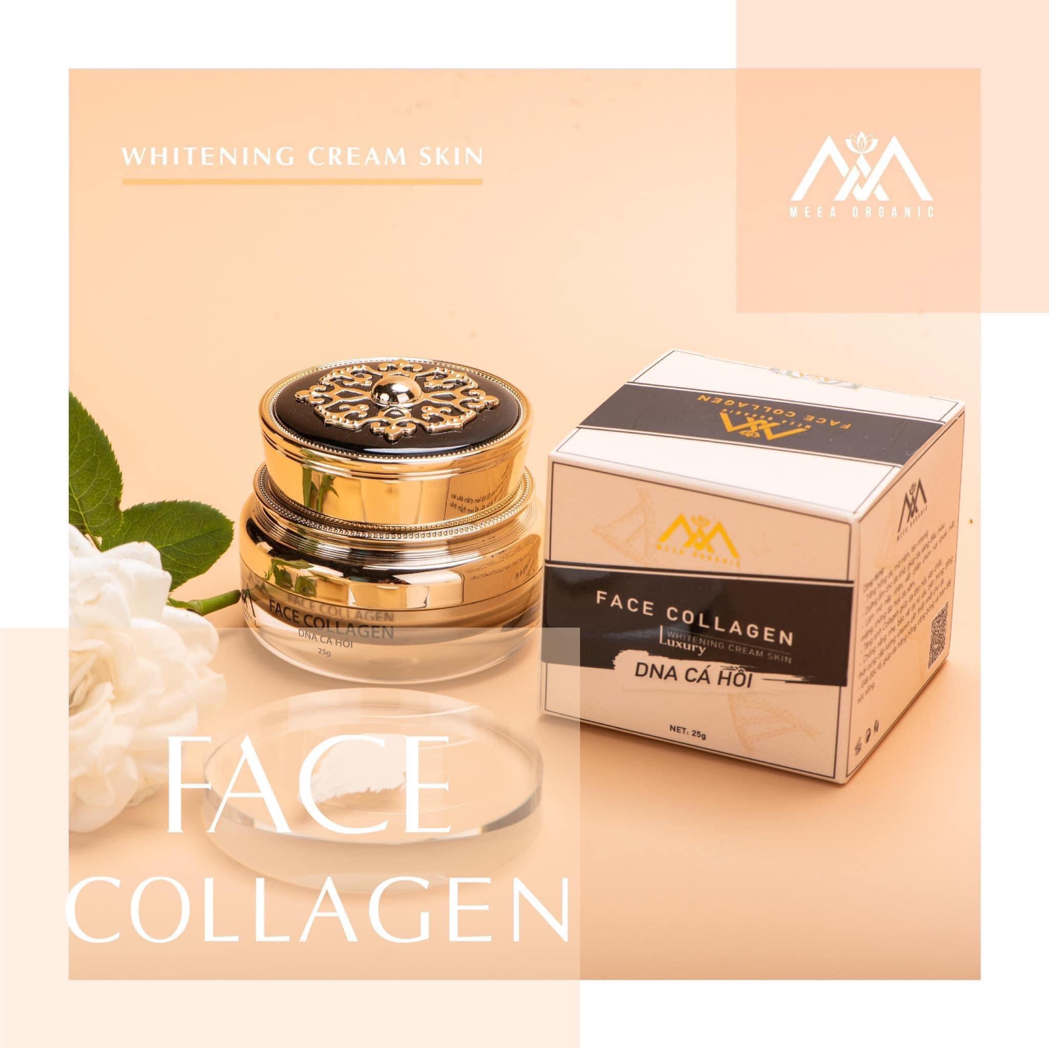 Face dna cá hồi meea
