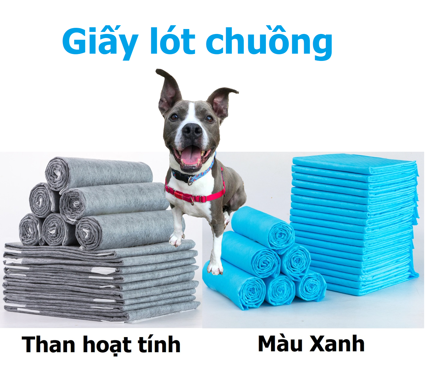 Doremiu (Lẻ 1 miếng size S 33x45cm) tã giấy lót chuồng chó mèo bỉm tã chó dạng miếng lót