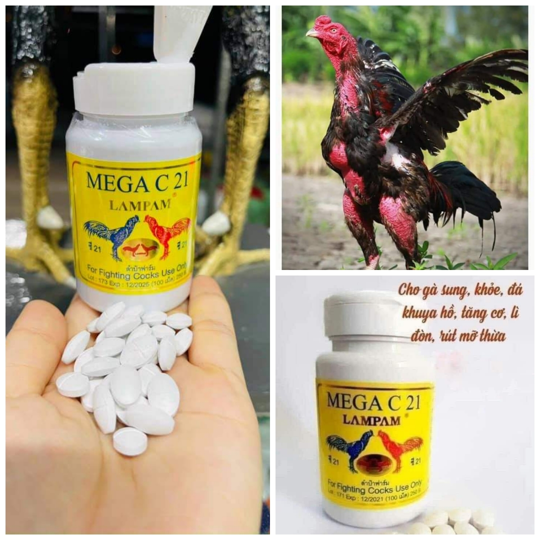 MEGA-C21( 100 viên ) th.uốc nuôi cao cấp dành cho gà đá