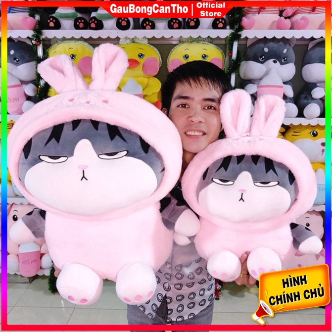 Mèo Hoàng Thượng Áo Hồng Cosplay tai thỏ dễ thương
