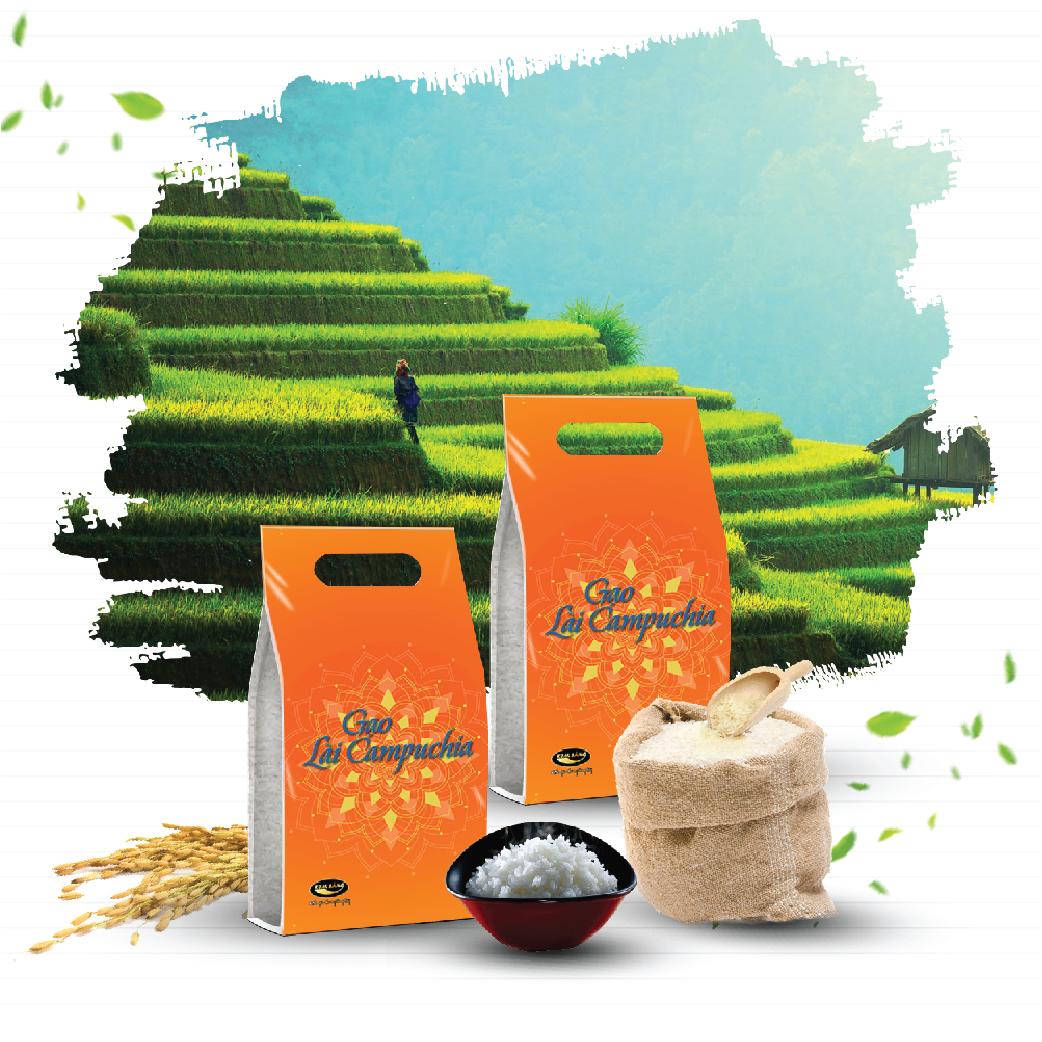 Gạo LÀI CAMPUCHIA - Túi 4KG - Dẻo Thơm Ngọt Dai Cơm Gạo Kim Sáng