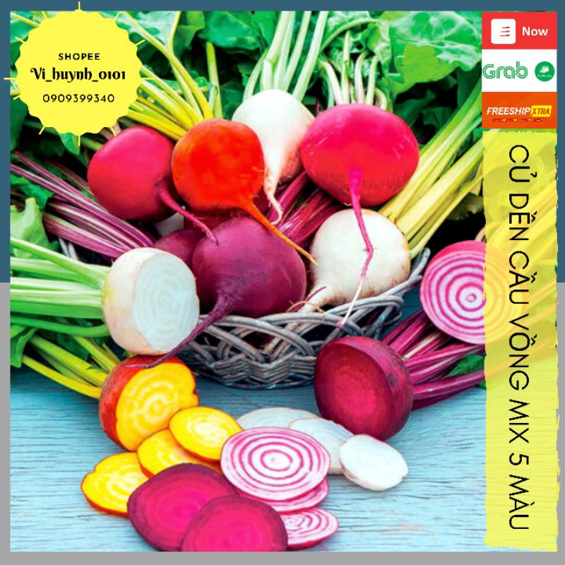 [HCM]Combo 100 Hạt Củ DềN Cầu Vồng Mix Màu Giống Nhập Johnny Seeds Mỹ Ngọt Ngào Và Bổ Dưỡng Khi Ăn Salad Hoặc Ép Nước Uống