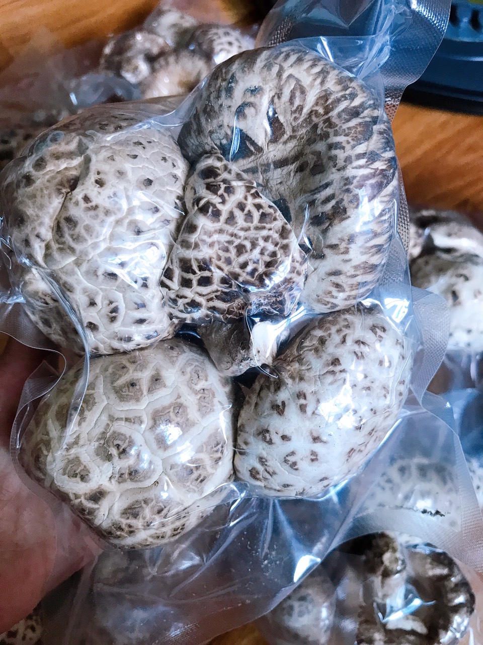 Nấm Đông Cô giống Nhật Bản loại 1 To - Thơm - Dày nấu canh dưỡng sinh