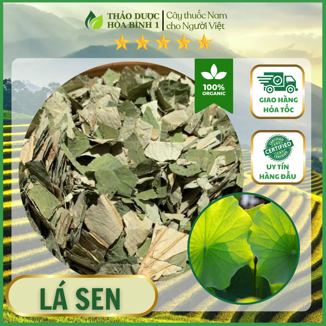 500gr Lá sen khô hàng loại 1