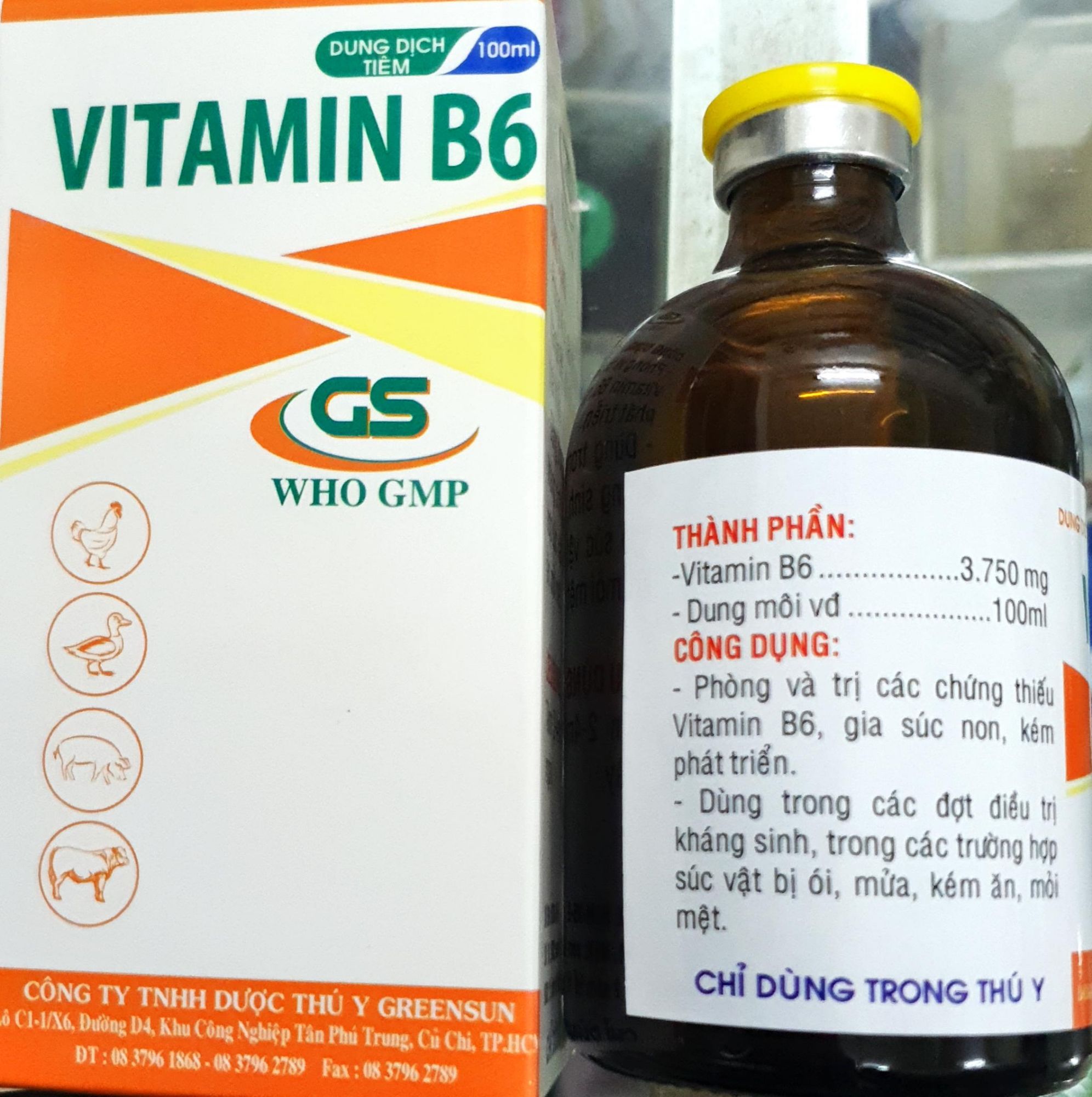 GS Vitamin B6 (chai 100ml) - Phòng và trị kém ăn, mệt mỏi, ói mửa cho gà đá, thú cưng