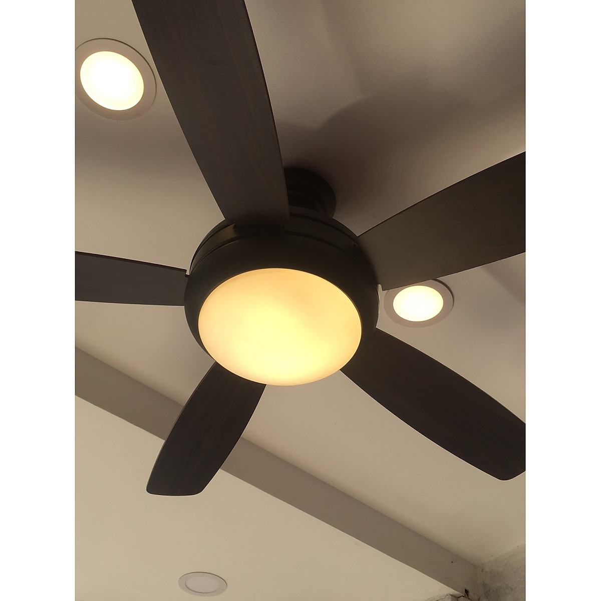 Quạt trần đèn KSP 52611B - Có điều khiển - Cánh dài 1m32