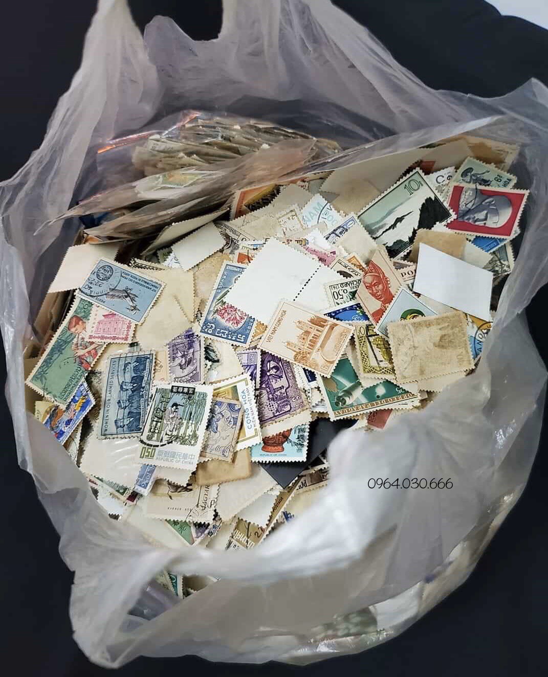 100 con tem khác nhau của Việt Nam, đủ các giai đoạn lịch sử