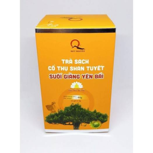 Trà cổ thụ san tuyết quy nguyên
