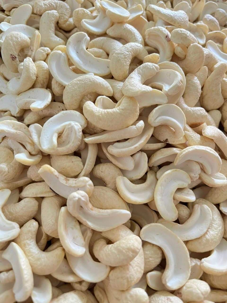 500Grm Hạt Điều Việt Nam Bể Đôi Nấu Sữa, Nấu Chè Tốt Cho Bà Bầu, Trẻ Em - Cam kết Hàng mới trắng cánh dày và không nhiễm dầu Giá 129,000 Đồng*Miễn phí vận chuyển