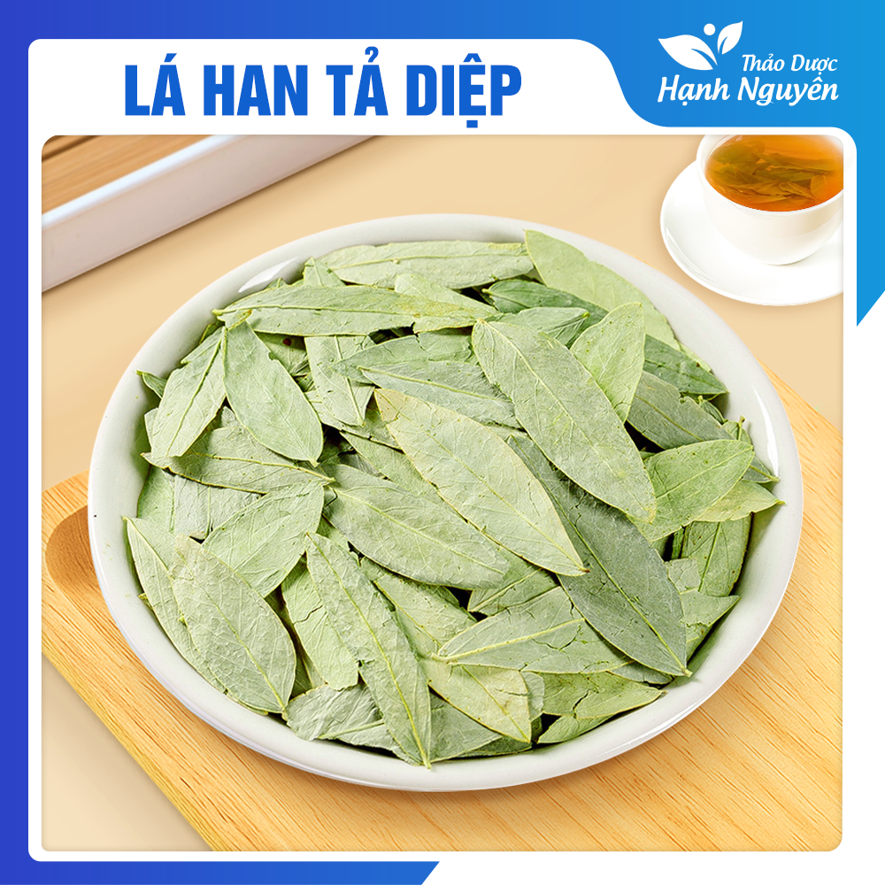 Phan tả diệp 500g - Thảo dược Hạnh Nguyên