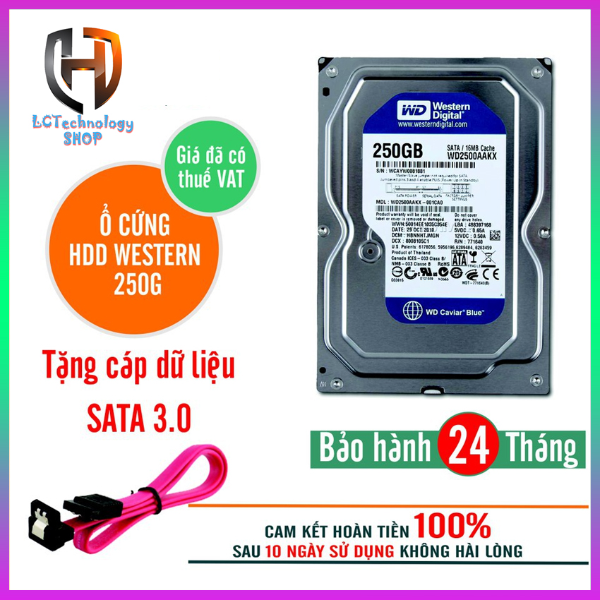 Ổ cứng Western Digital 250GB Blue SATA Hàng nhập khẩu máy bộ siêu bền , bảo hành 2 năm, hỗ trợ cài đặt - LCTechnology