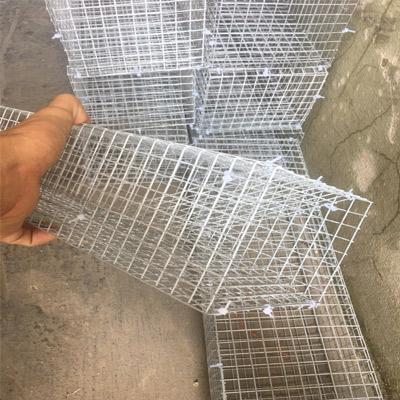 Lồng bẫy rắn