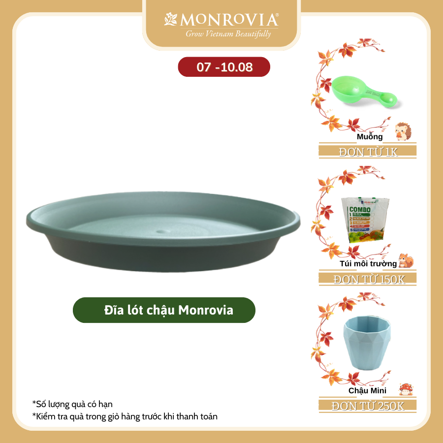 Đĩa lót chậu MONROVIA, Dòng M-series, chậu nhựa trồng cây, chậu cây cảnh mini, để bàn, treo ban công, treo tường, cao cấp, chính hãng thương hiệu MONROVIA