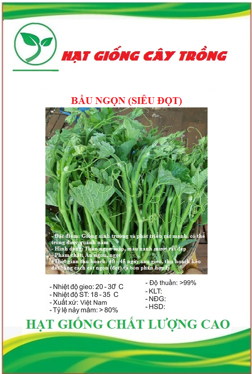 Hạt giống bầu ngọn ct529 - gói 5gram