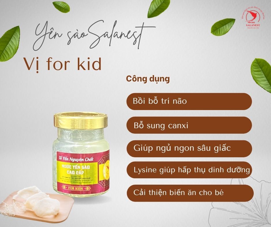 Salanest - Set 12 Hủ - Nước yến sào chưng baby và 20% yến tươi cao cấp