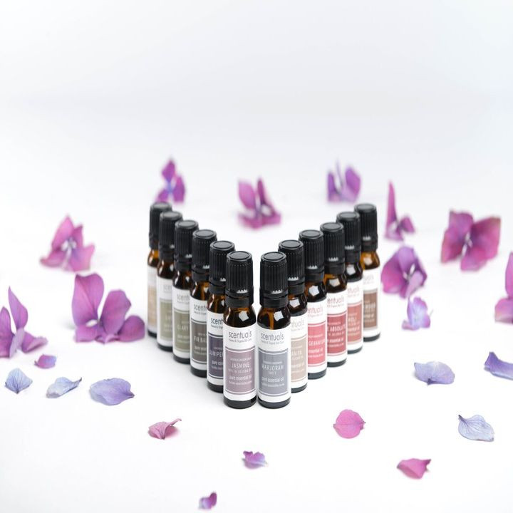 Tinh dầu Rau Thơm Scentuals Oregano Pure Essential Oil 10ml