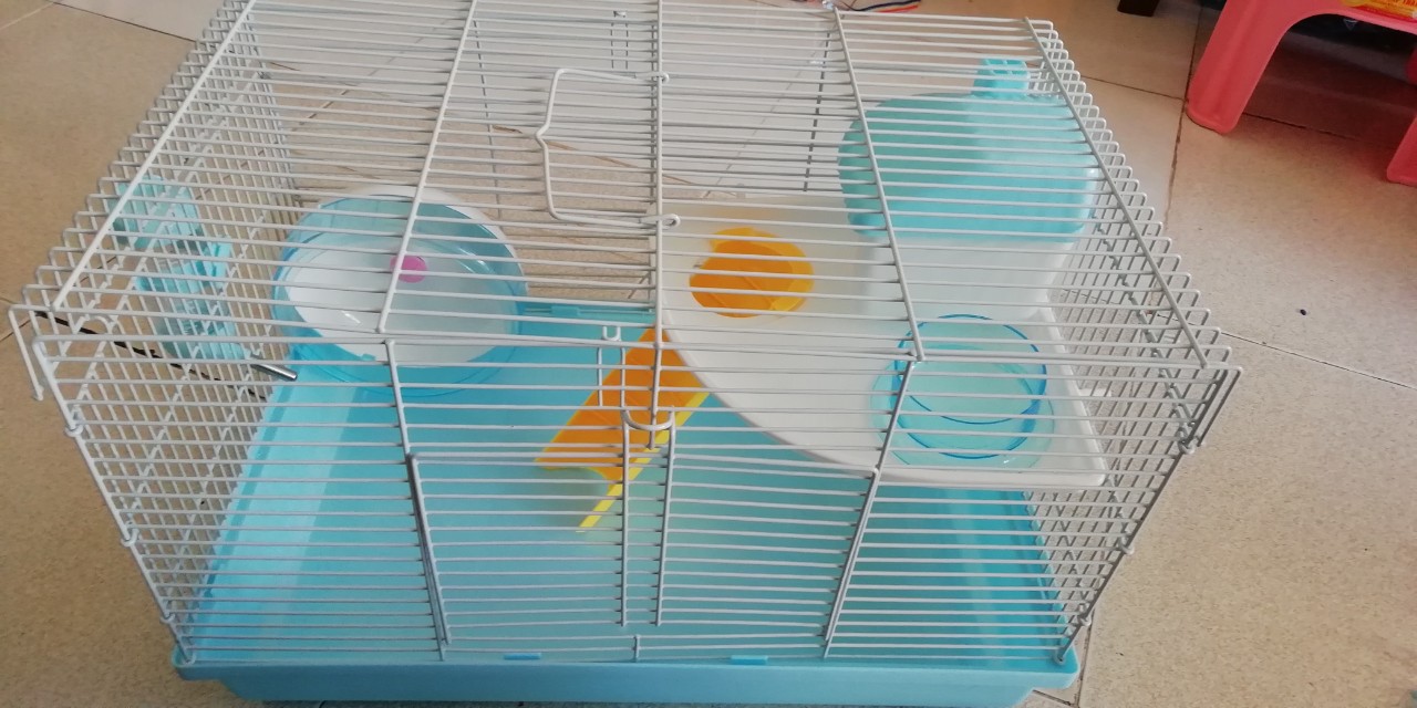 Lồng hamster, bọ Đại
