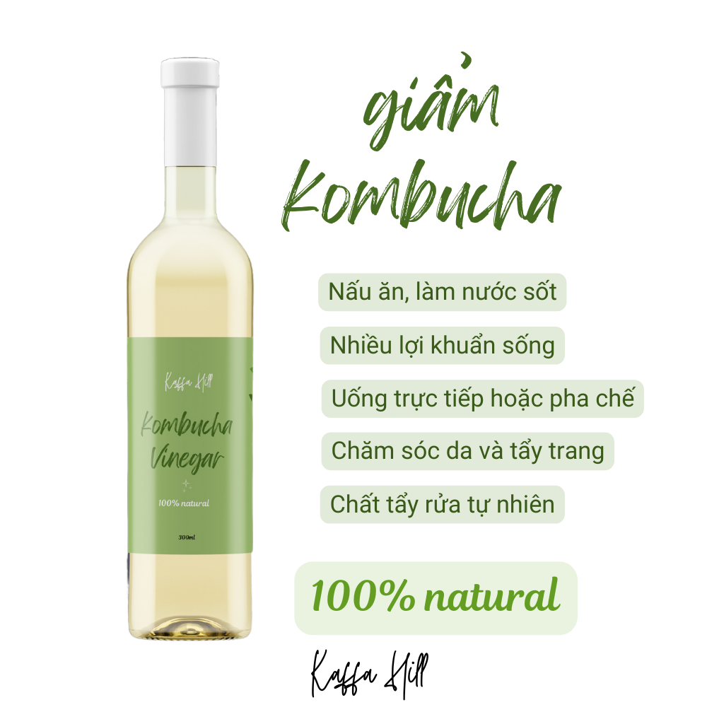 Chai Giấm Kombucha 300ml - Kombucha Vinegar - Men khuẩn sống - Kaffa Hill