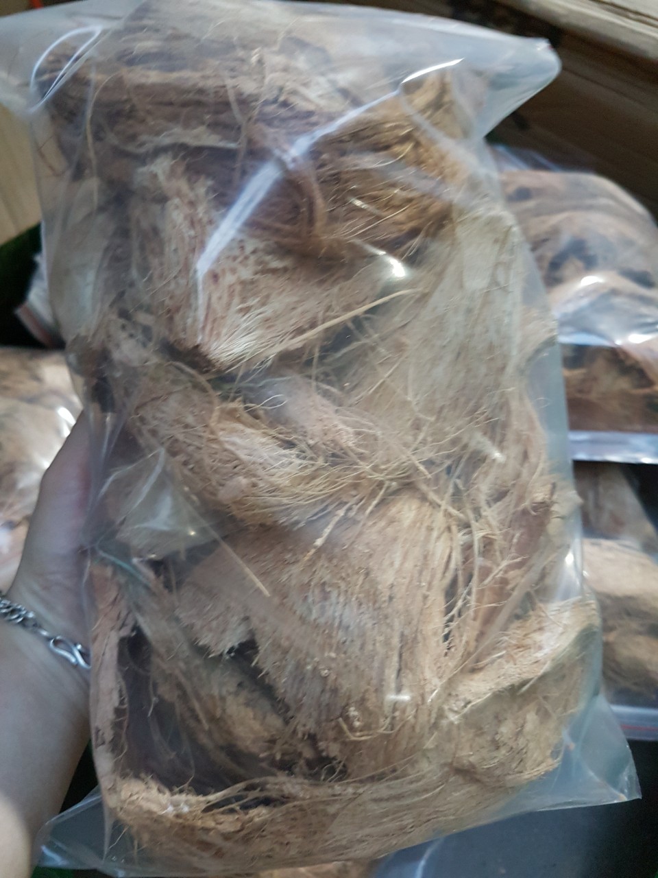 Xơ dừa xé phơi khô làm giá thể lót chậu trồng lan