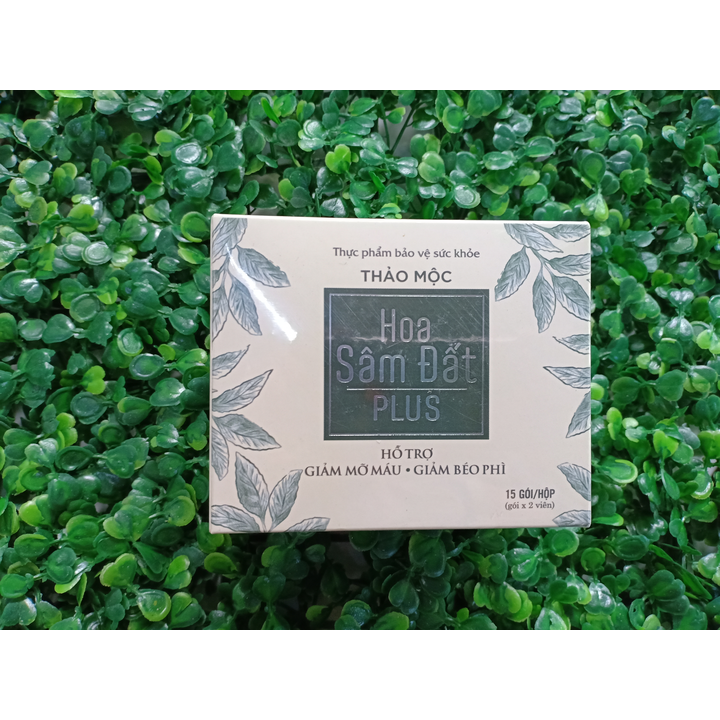 Trà giảm cân Hoa Sâm Đất Plus (15 gó, chính hãng)