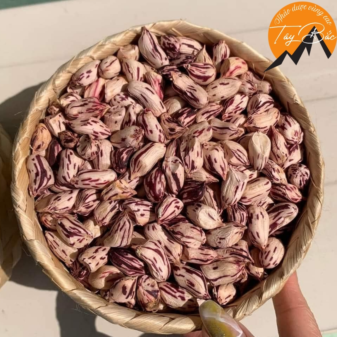 Nhân lạc hoa mèo, hoa vằn khô 🥜 Mường Khương, Điện Biên (500g, 1kg). Lạc, đậu phộng đen, hoa mèo hoa vằn Tây Bắc