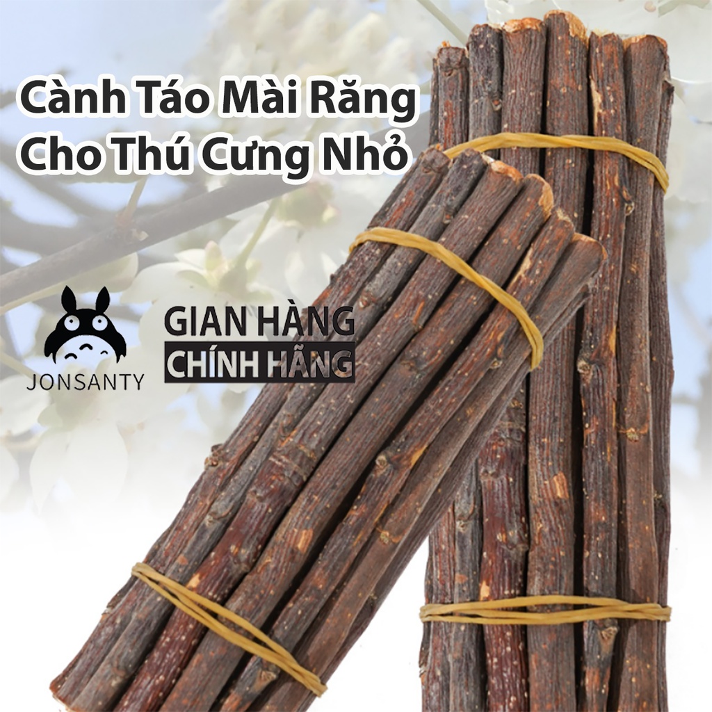 Cành táo mài răng cho thỏ, chuột hamster, bọ ú, mài răng cho thú cưng nhỏ