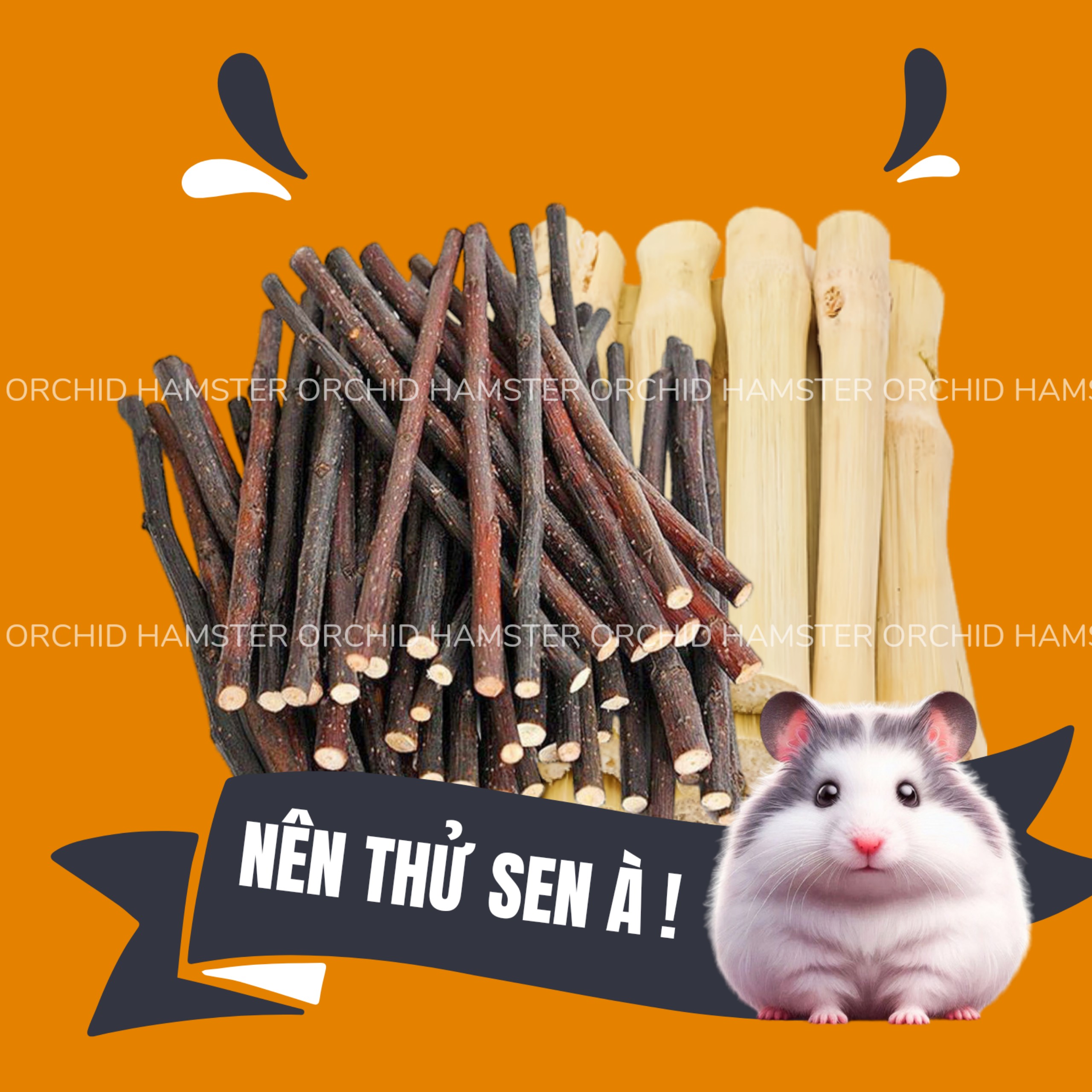 Cành táo mài răng hamster ,sóc, nhím.. v.. v