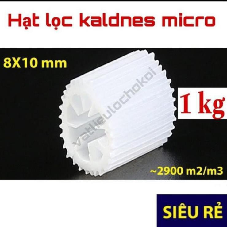 Hạt lọc Kaldnes Micro loại tốt nhhất , đệm vi sinh kanet - vật liệu lọc hồ cá