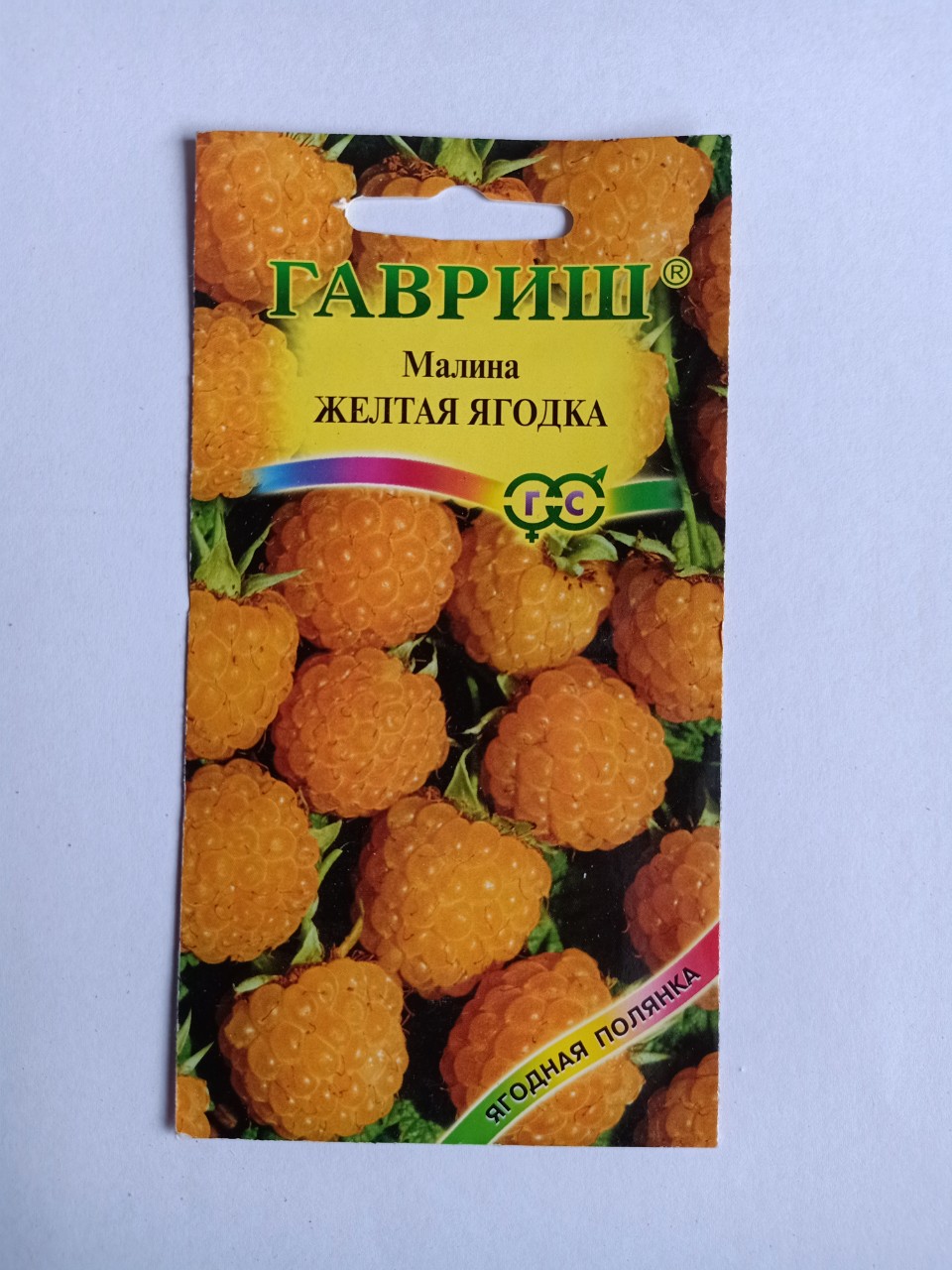 Hạt giống quả mâm xôi vàng nhập khẩu Nga