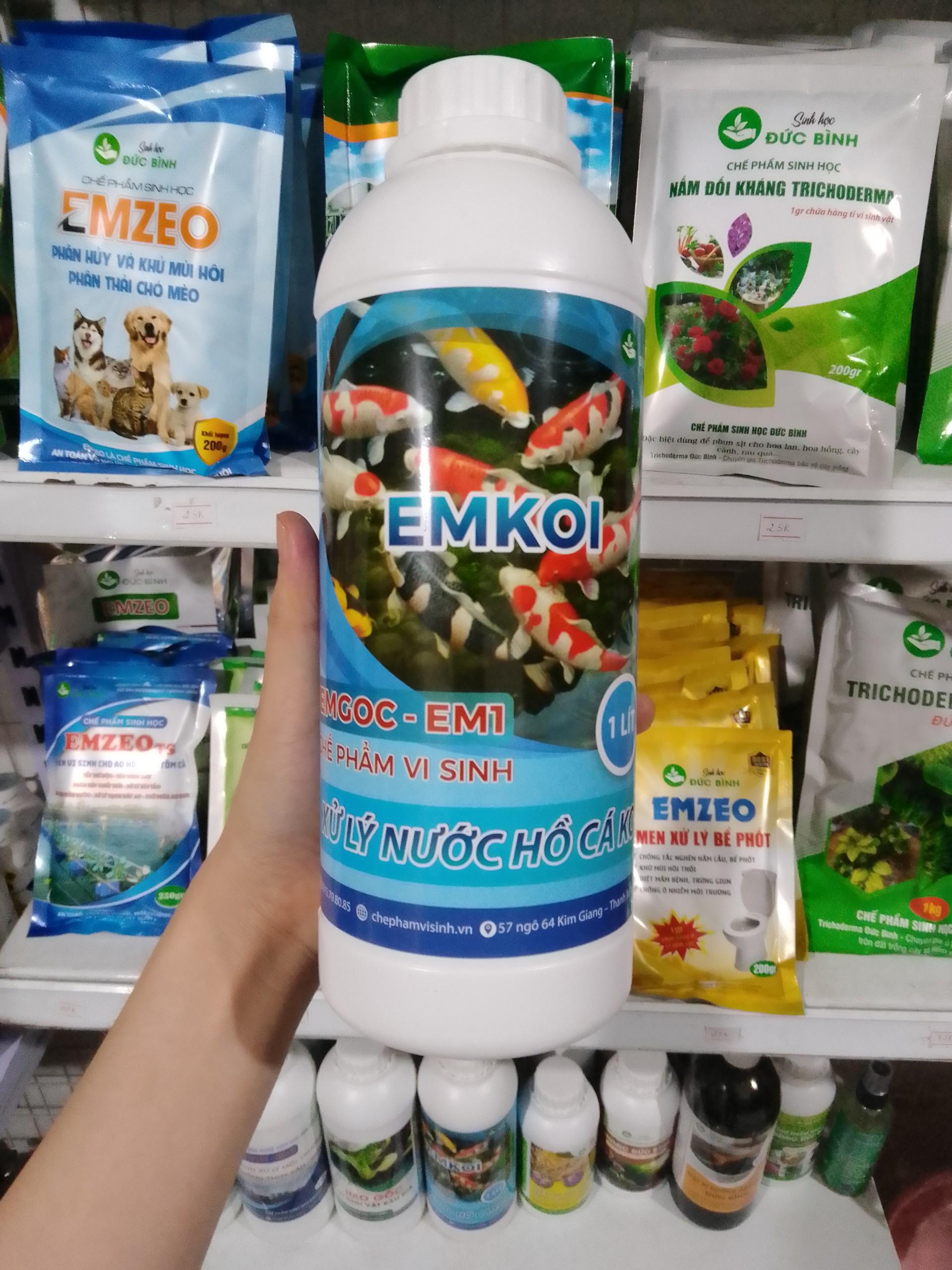Xử lý nước hồ cá koi vi sinh xử lý nước hồ cá koi bị đục, xanh, rêu, vàng