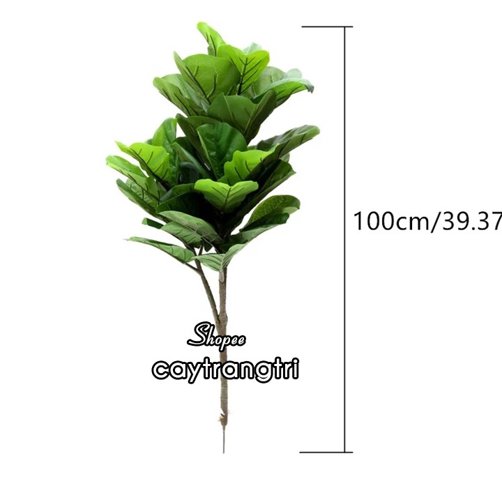 Cây Bàng Singapore Giả Trang Trí Nội Thất cao 100 cm gồm 3 nhánh