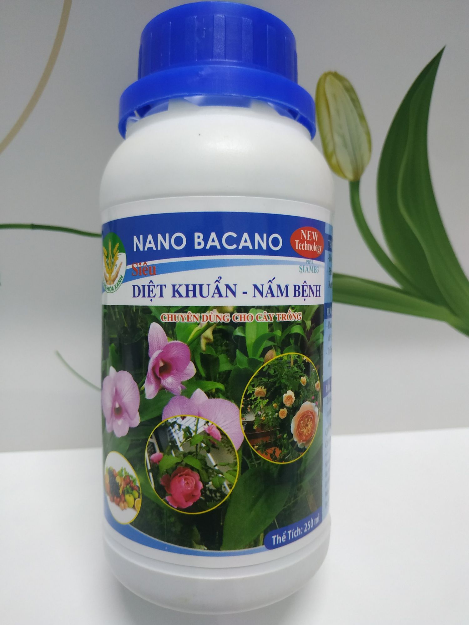 NANO BẠC 1000 ppm ĐẬM ĐẶC PHÒNG VÀ DIỆT KHUẨN DIỆT NẤM BỆNH TRÊN LAN HỒNG VÀ CÂY CẢNH