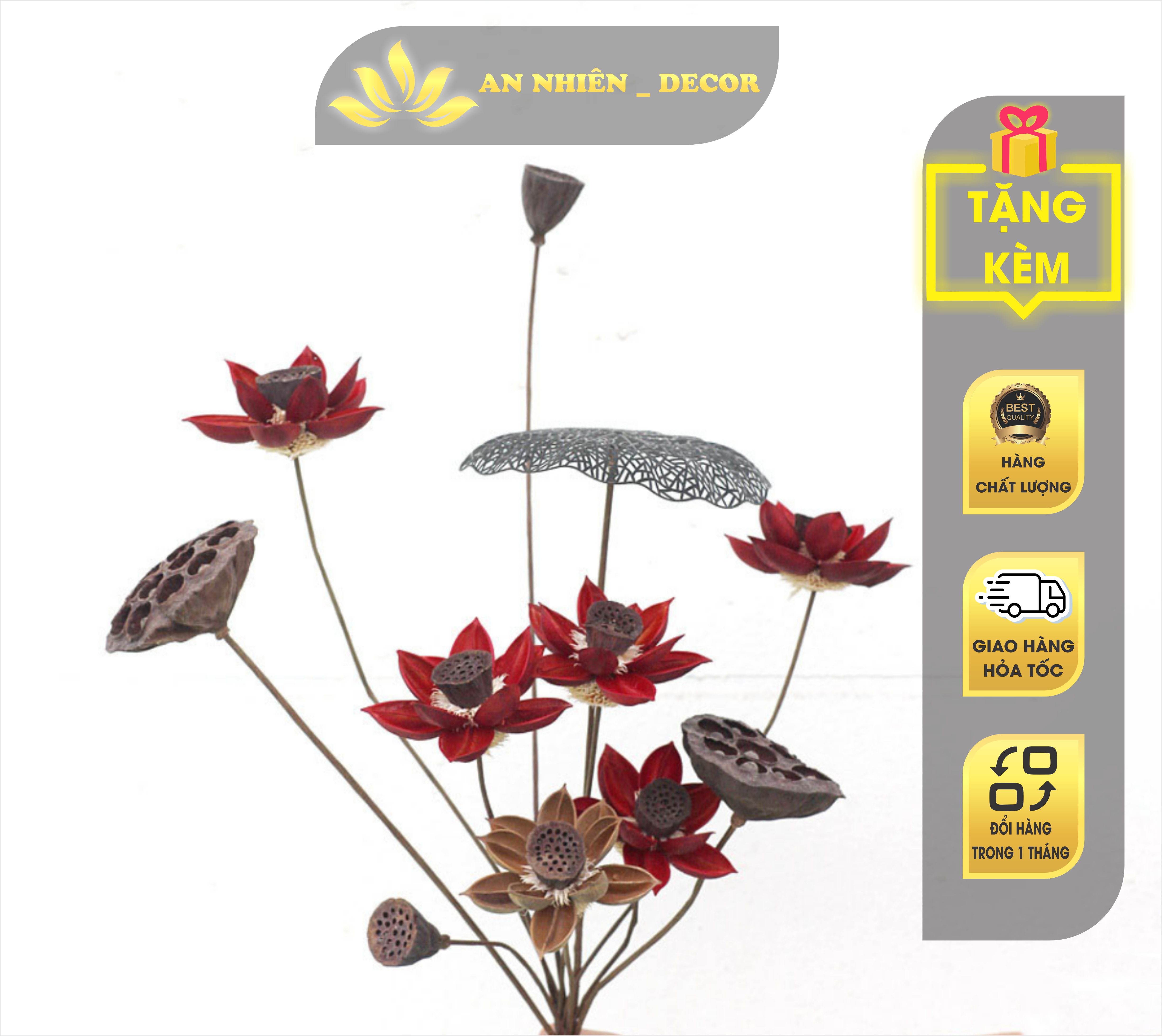 Set hoa khô decor, hoa sen, đài sen, lá sen mộc mạc giản dị - Set hoa khô 01